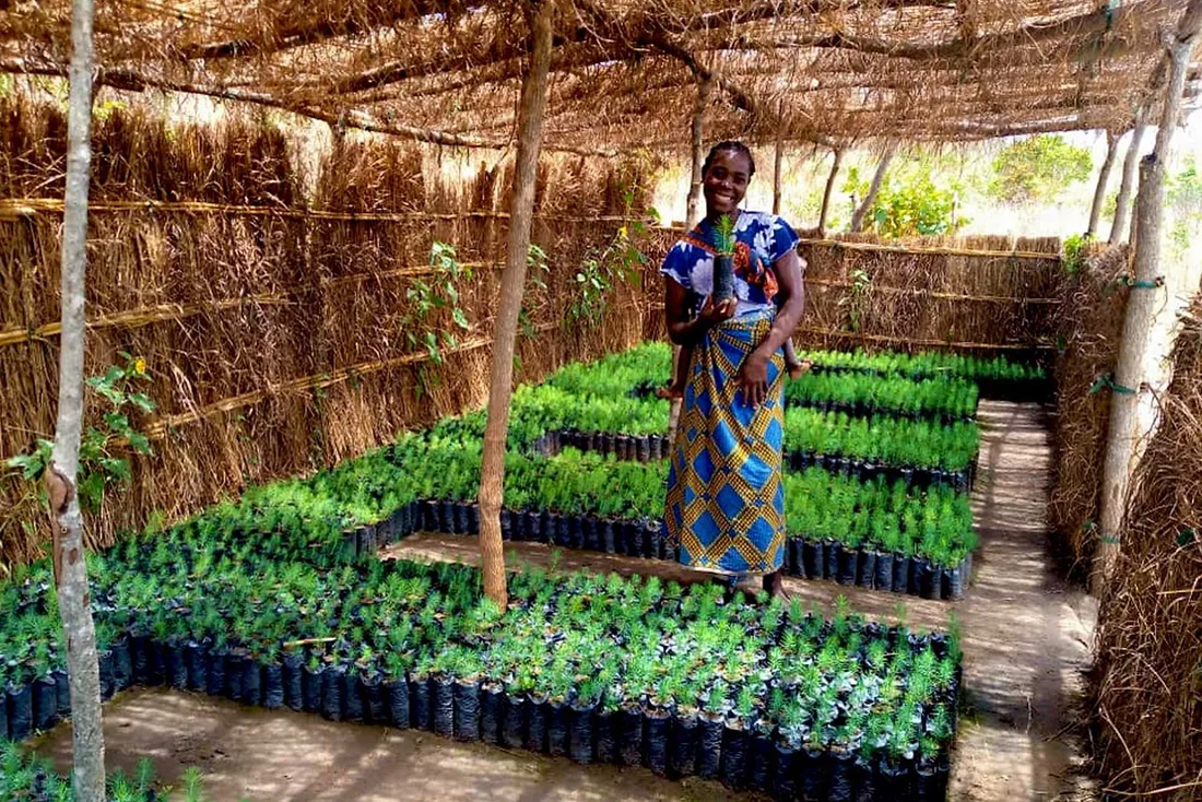 Ripple Africa tree-planting nursery